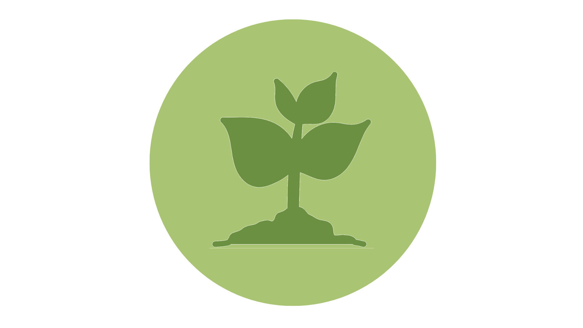 Territorio, Paisaje y Biodiversidad