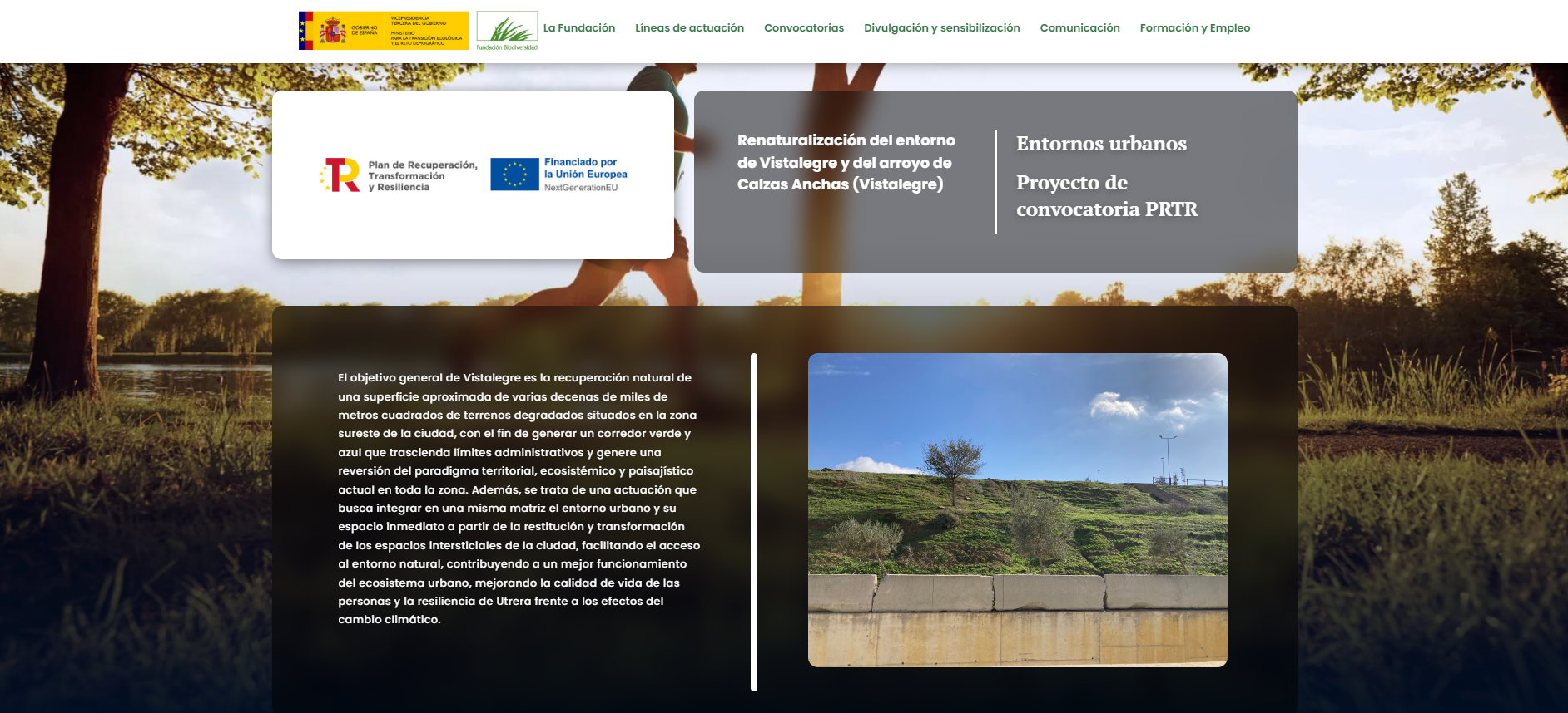 Renaturalización del entorno de Vistalegre y del arroyo de Calzas Anchas (Vistalegre)