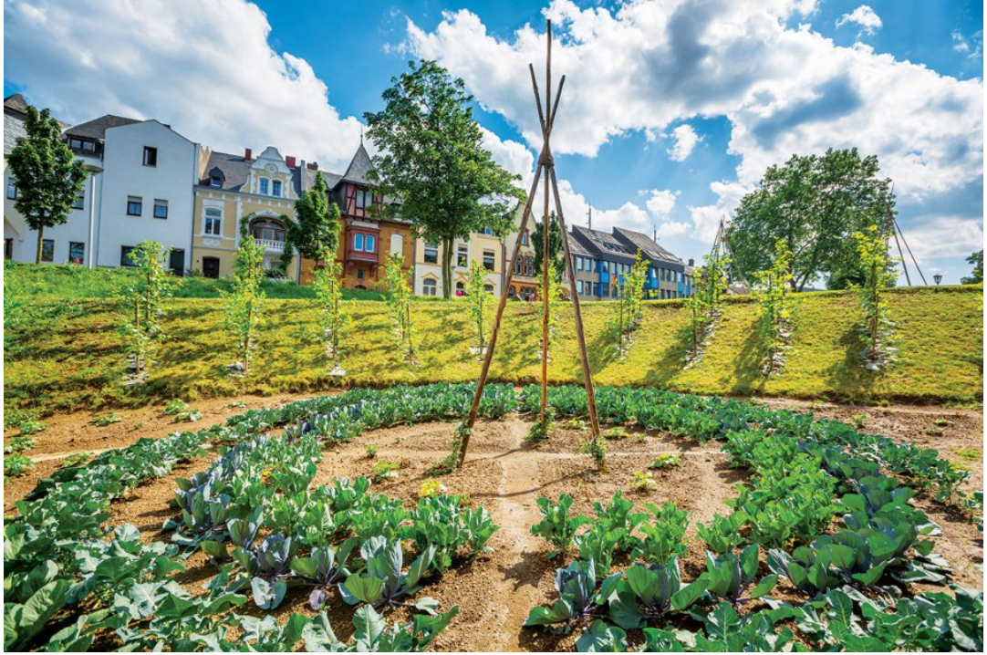 De eetbare stad, Andernach