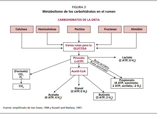 Emisiones de emisiones gei de efecto invernadero por especies a nivel mundial