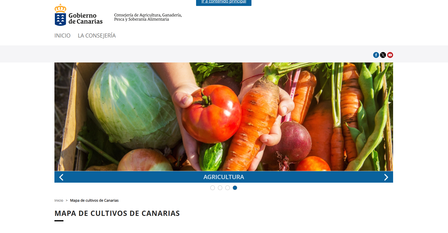 Memoria de las DOSA. A partir del Mapa de cultivos de Canarias