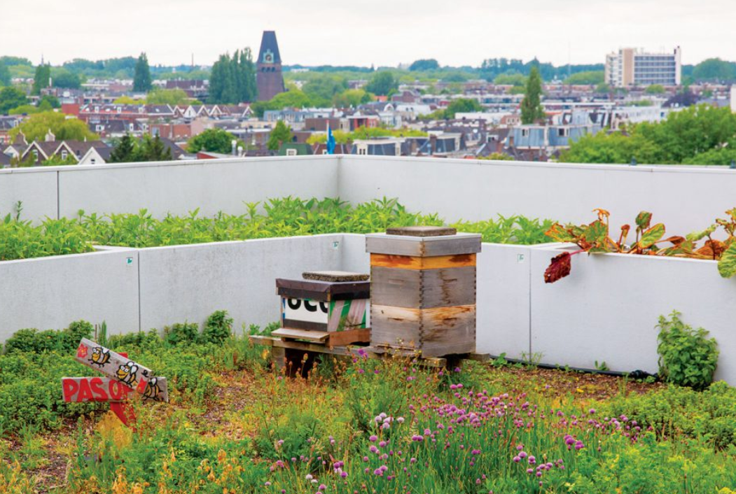 Dakakker, Schieblok Rotterdam