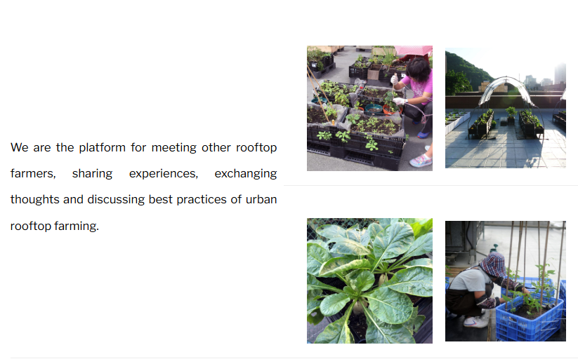 Urban Rooftop Farming