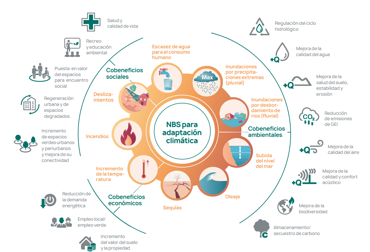 Soluciones Basadas en la Naturaleza en Euskadi. 20 casos de éxito para adaptarse al cambio climático aplicando NBS