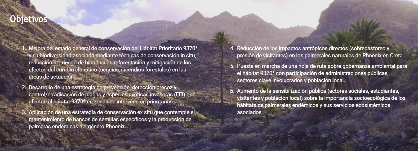 Restauración y mejora del hábitat prioritario 9370* "Palmerales de Phoenix"