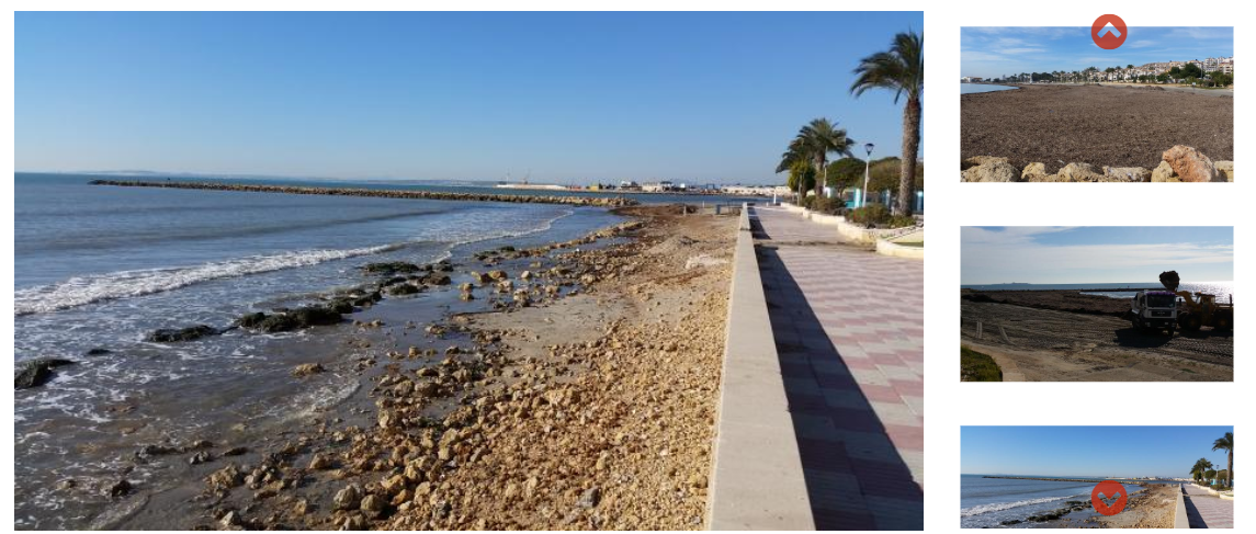 GESTARR: Papel de la Posidonia oceanica en la adaptación de las costas al cambio climático