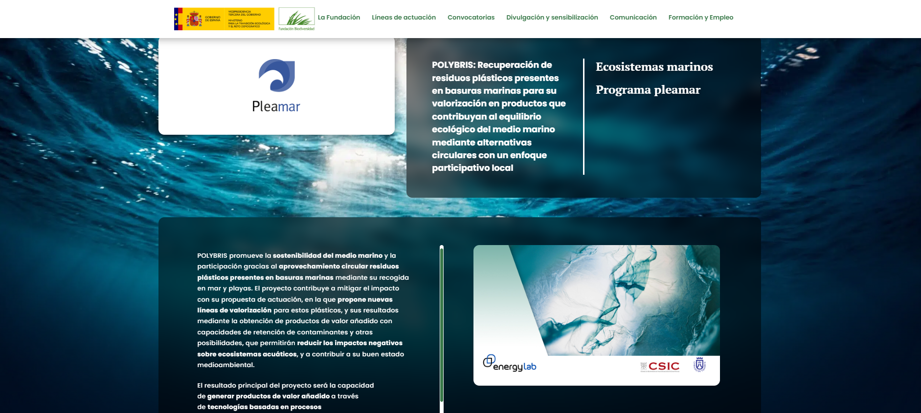 POLYBRIS: Recuperación de residuos plásticos presentes en basuras marinas para su valorización en productos que contribuyan al equilibrio ecológico del medio marino mediante alternativas circulares con un enfoque participativo local