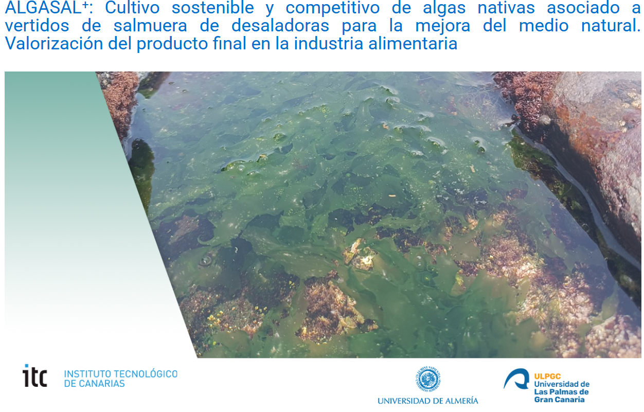 ALGASAL⁺: Cultivo sostenible y competitivo de algas nativas asociado a vertidos de salmuera de desaladoras para la mejora del medio natural. Valorización del producto final en la industria alimentaria
