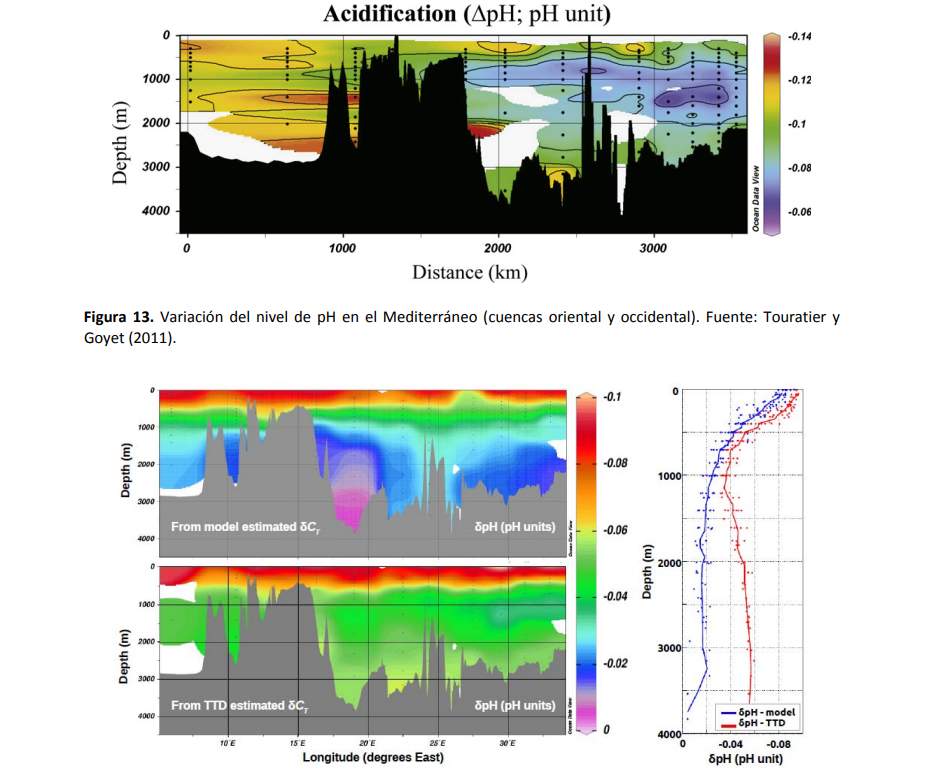Cambio climático en el medio marino español: impactos, vulnerabilidades y adaptación
